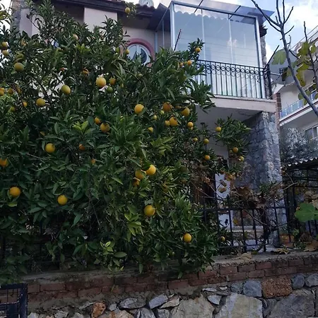 Iksir Villa *